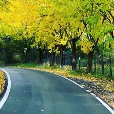 Sui Colli Bolognesi *