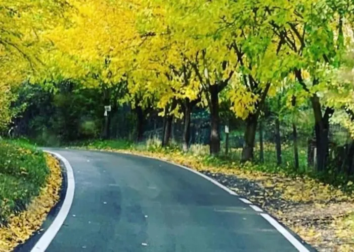 Sui Colli Bolognesi *